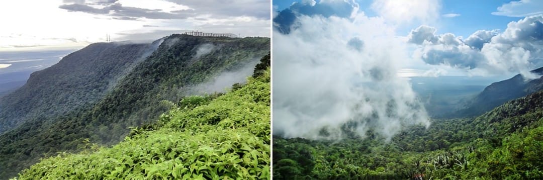 Bokor bao phủ bởi màn sương dày đặc kiến cho cảnh quan nơi đây vừa khá mờ ảo nhưng vẫn rất đẹp