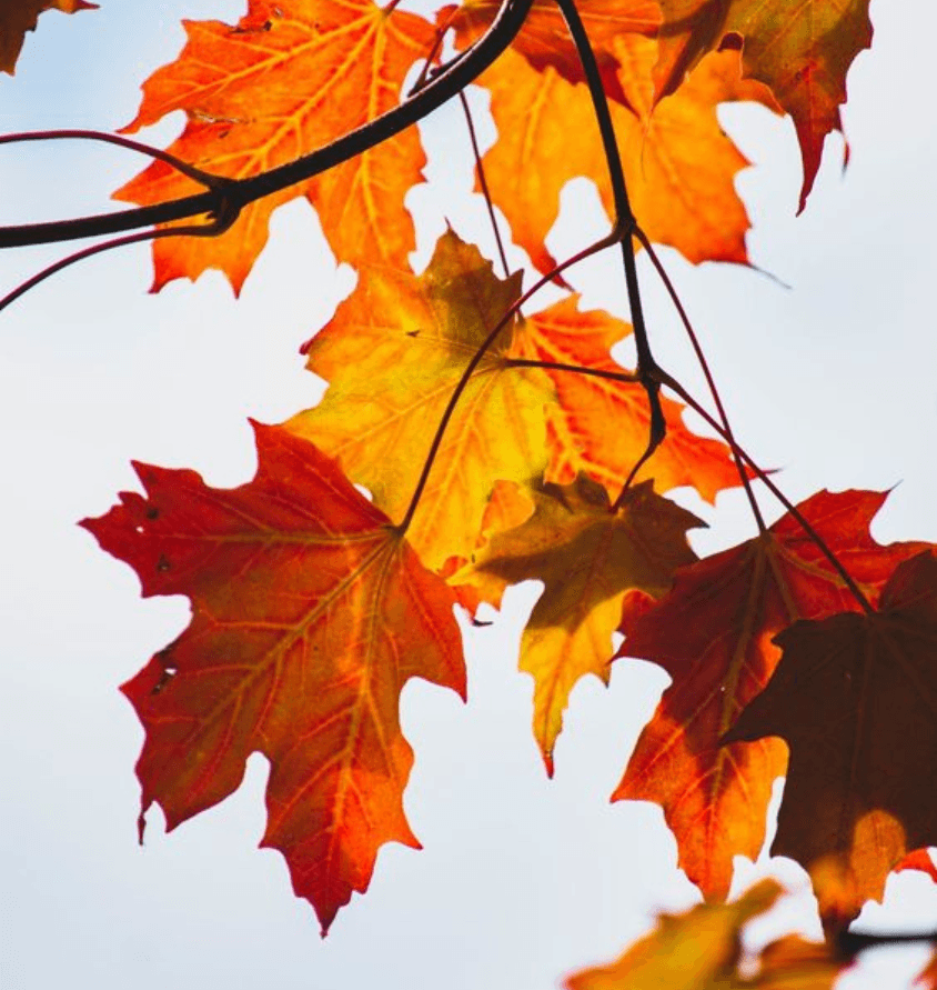 kich thuoc san pham 270x285 53 1