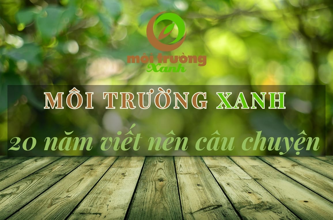 BAI WEBSITE 2