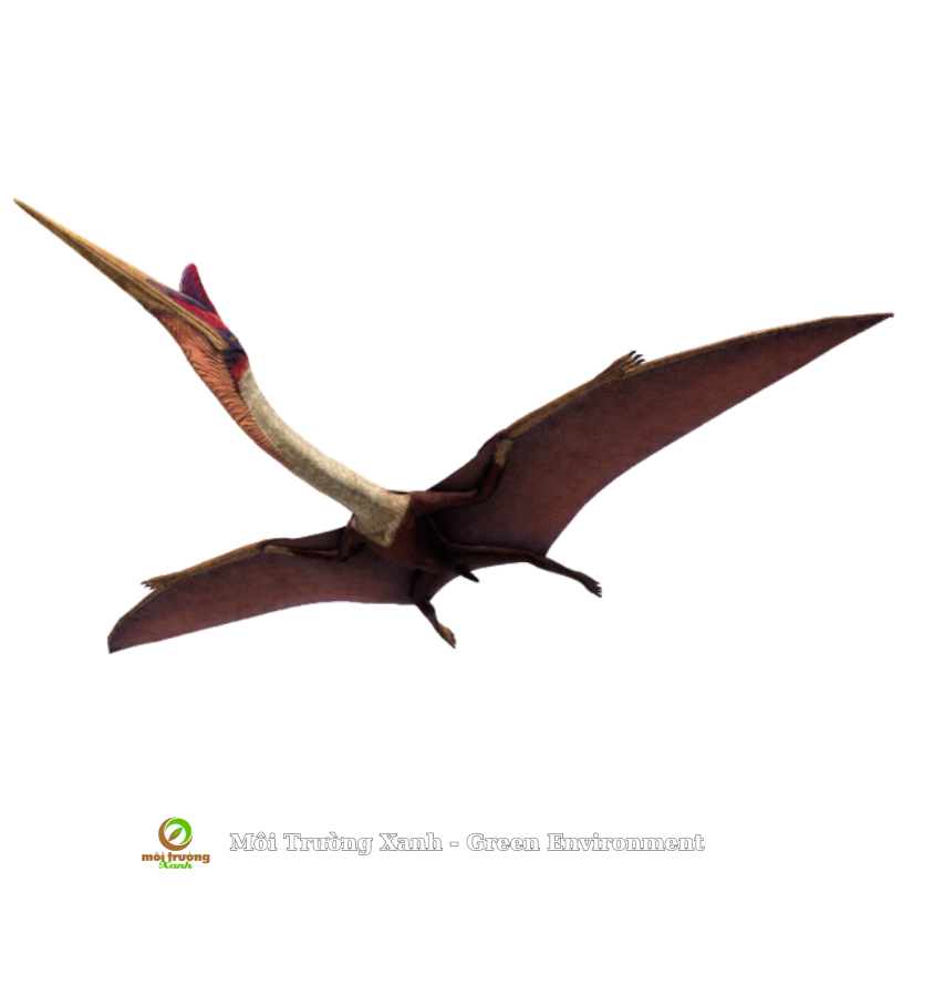 TƯỢNG khủng long bay - môi trường xanh