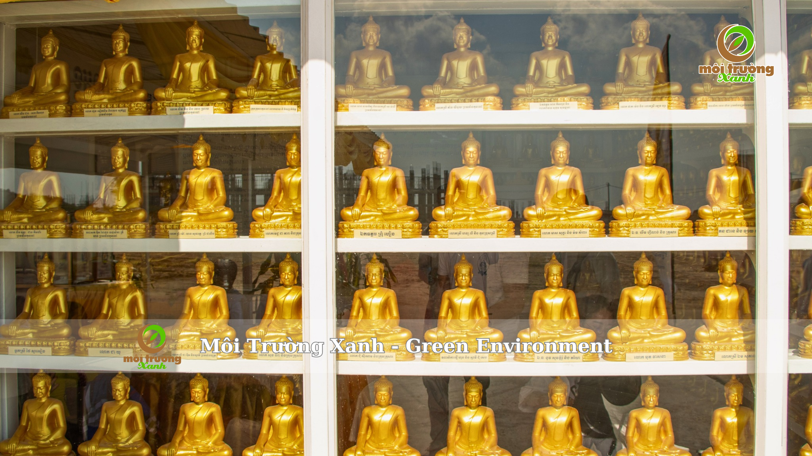 dự án tượng phật 108m - môi trường xanh