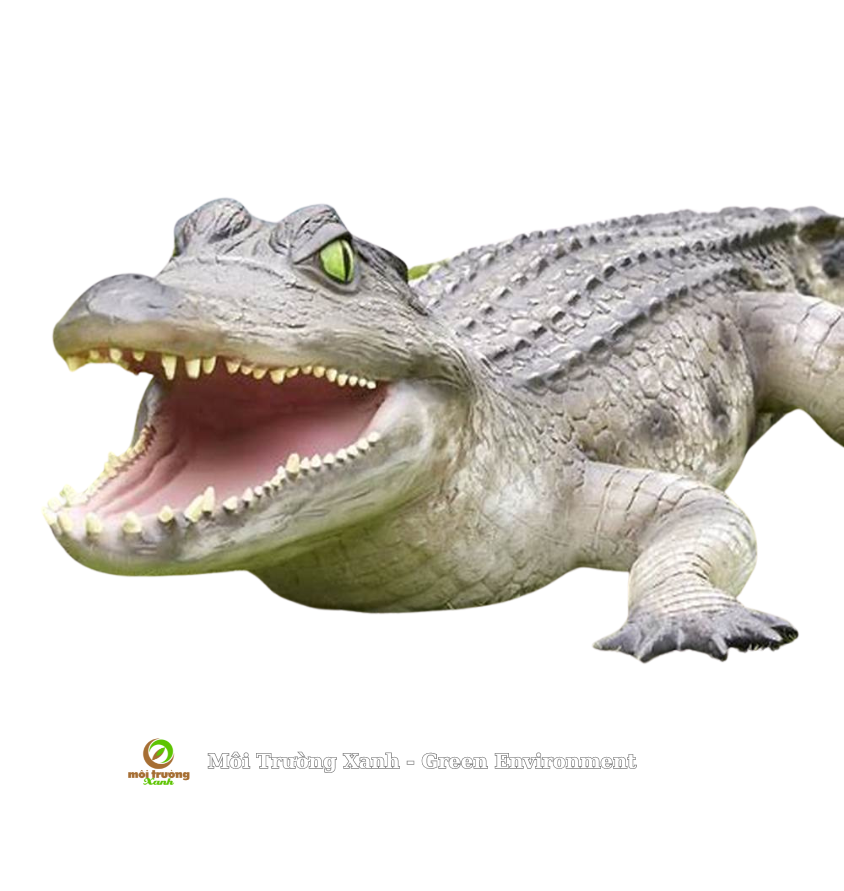 tượng cá sấu - môi trường xanh