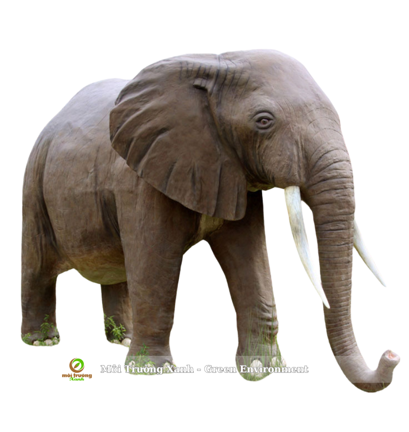 tượng voi - môi trường xanh (4)