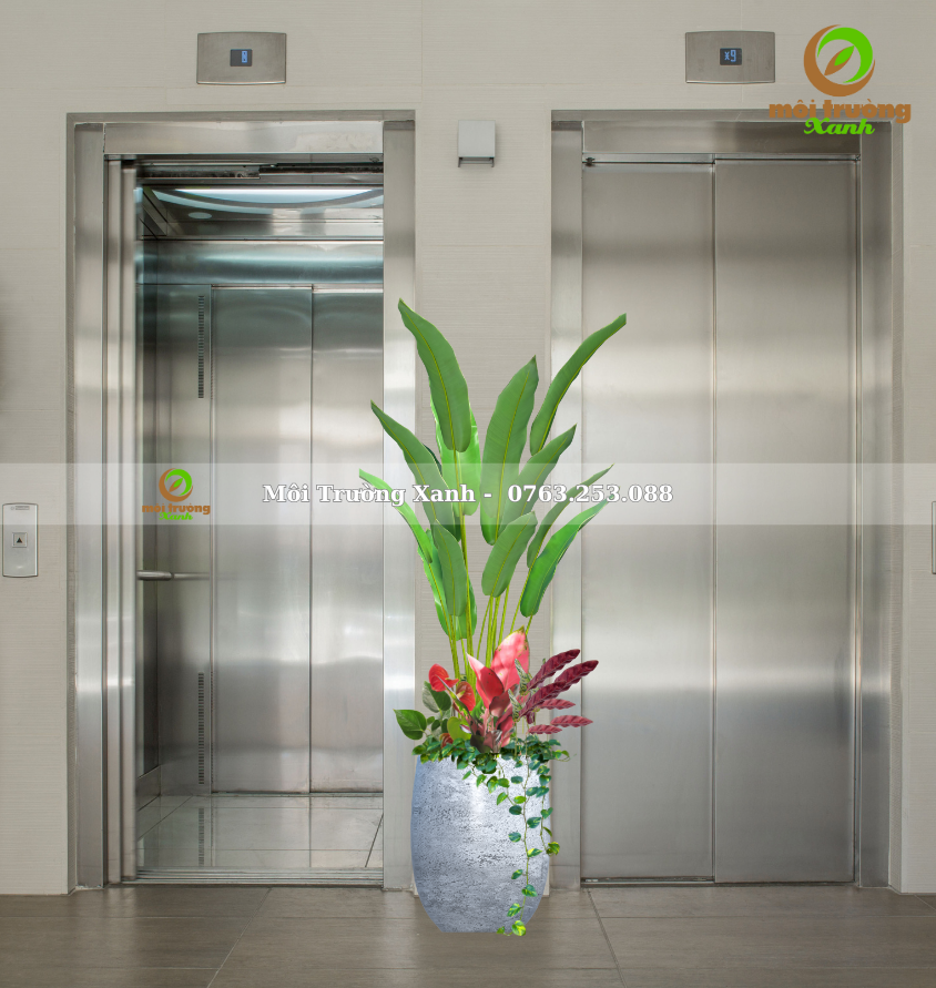 CHẬU CÂY PHỐI - P02