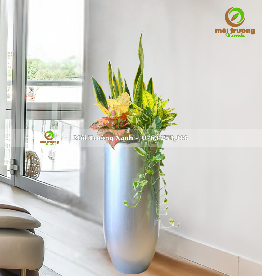 CHẬU CÂY PHỐI - P11