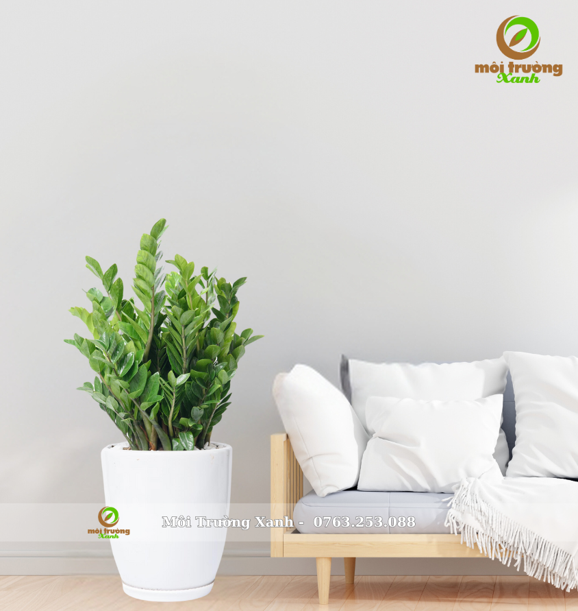 ត្បូង Zanzibar