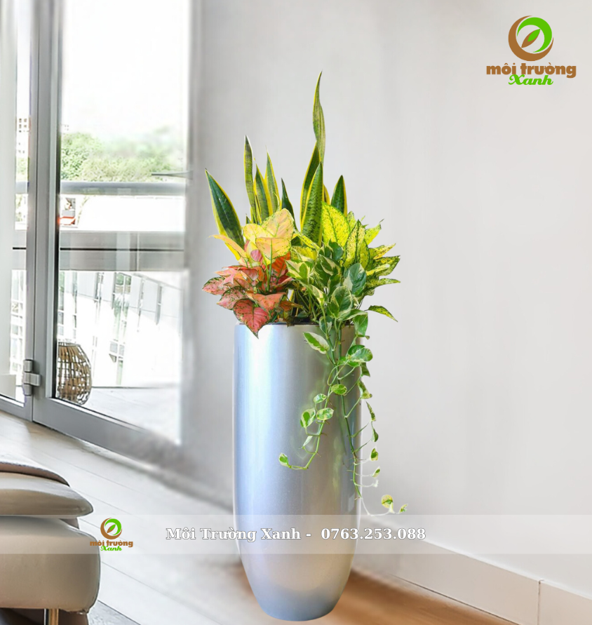 ផើងរុក្ខជាតិ