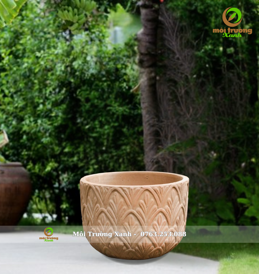 Hoa sen - chậu đất nung - môi trường xanh (4)