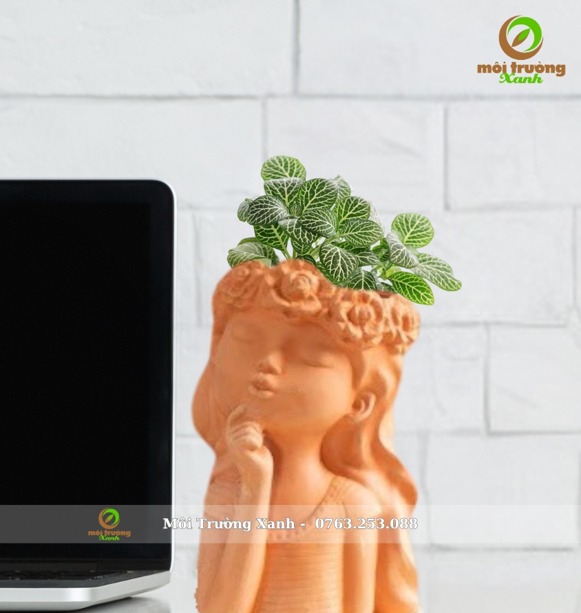 Cây cẩm nhung - Chậu thiếu nữ đất nung - môi trường xanh (6)