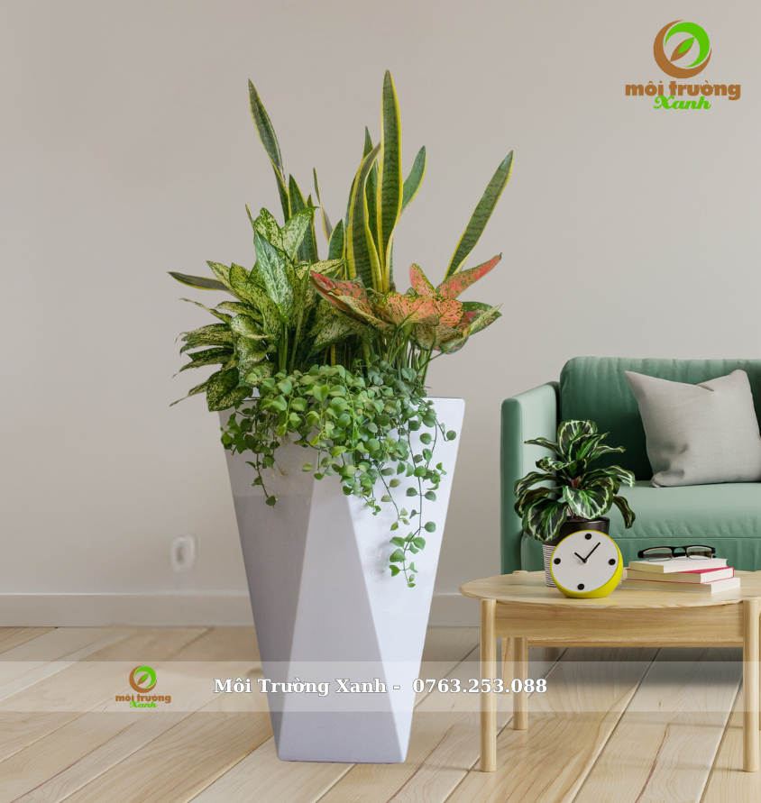 ផើងរុក្ខជាតិ