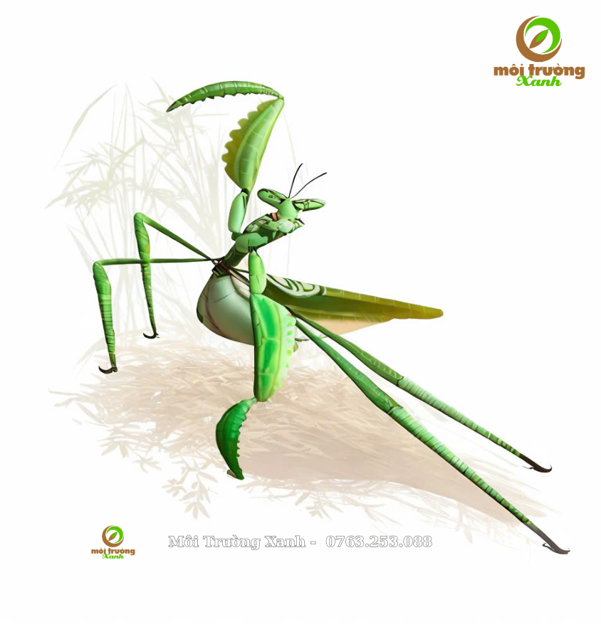 Sư huynh Bọ ngựa (Mantis) - môi trường xanh (2)