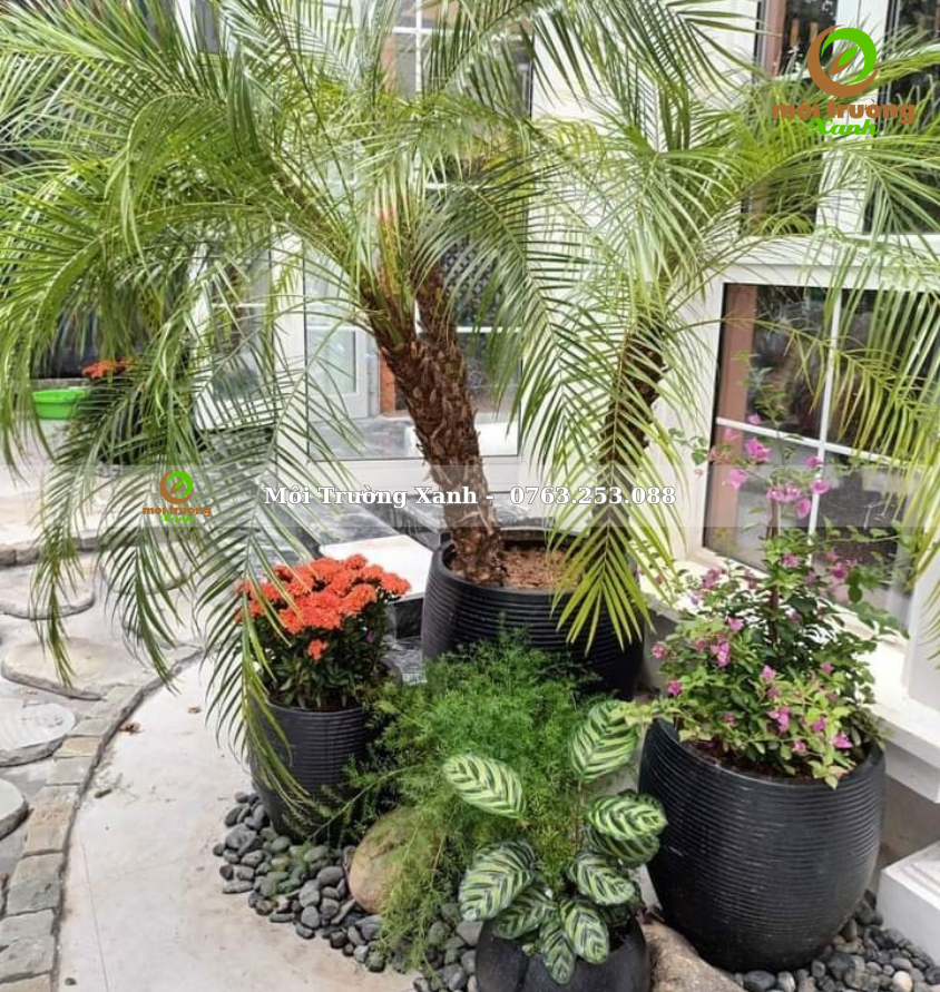 ទេសភាពយ៉រ, ទេសភាពយ៉រ ទេសភាពបៃតង ទេសភាពតុបតែង