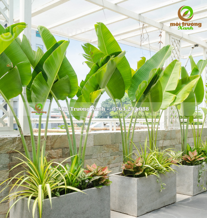 ទេសភាពយ៉រ, ទេសភាពយ៉រ ទេសភាពបៃតង ទេសភាពតុបតែង