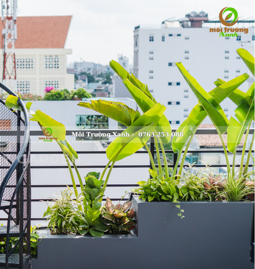 ទេសភាពយ៉រ, ទេសភាពយ៉រ ទេសភាពបៃតង ទេសភាពតុបតែង