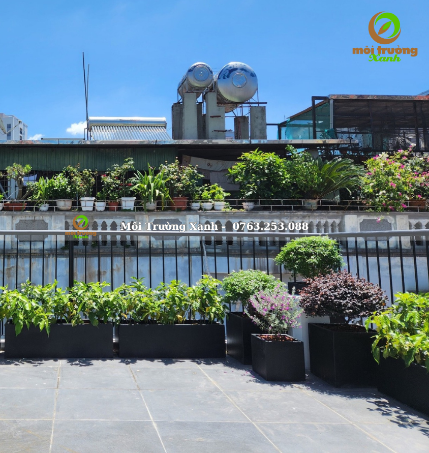 ទេសភាពយ៉រ, ទេសភាពយ៉រ ទេសភាពបៃតង ទេសភាពតុបតែង