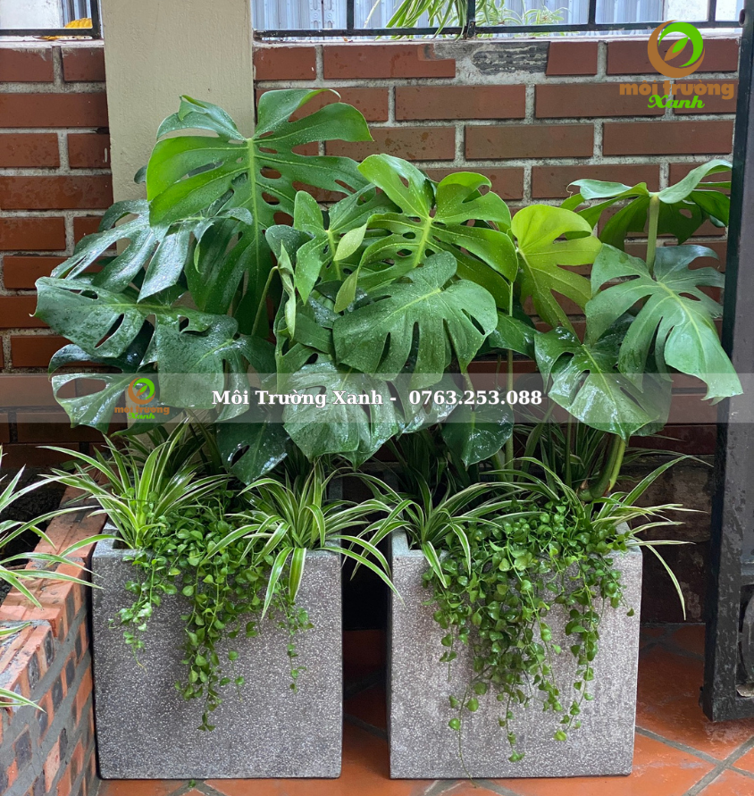 ទេសភាពយ៉រ, ទេសភាពយ៉រ ទេសភាពបៃតង ទេសភាពតុបតែង