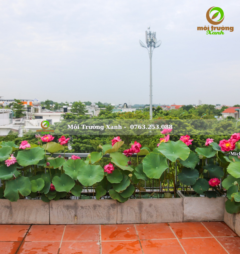 ទេសភាពយ៉រ, ទេសភាពយ៉រ ទេសភាពបៃតង ទេសភាពតុបតែង