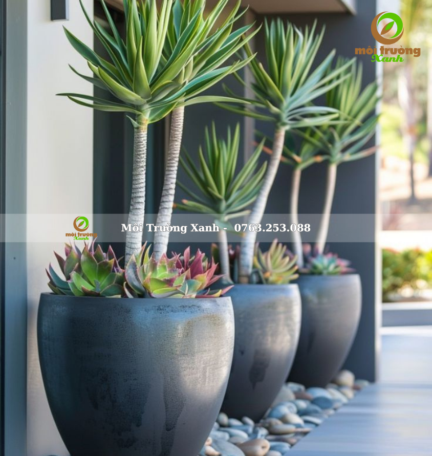 ទេសភាពយ៉រ, ទេសភាពយ៉រ ទេសភាពបៃតង ទេសភាពតុបតែង