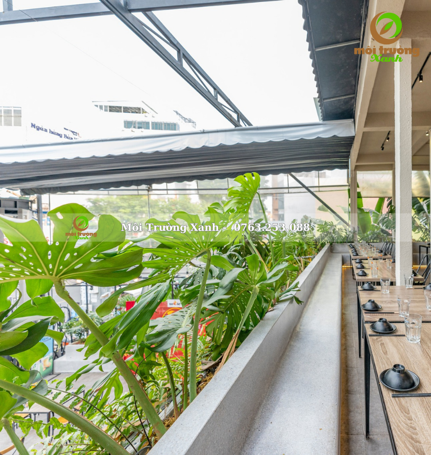 Tiểu cảnh ban công - môi trường xanh 