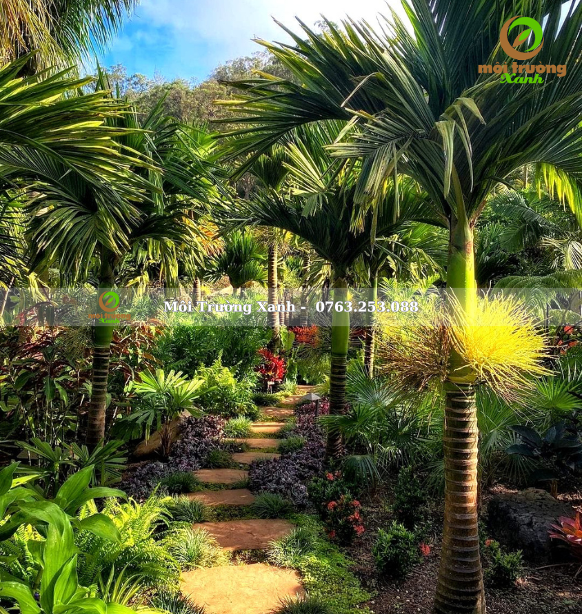 ទេសភាពសួនច្បារ, ទេសភាពសួនច្បារ ទេសភាពបៃតង ទេសភាពតុបតែង