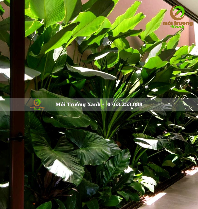 ទេសភាពសួនច្បារ, ទេសភាពសួនច្បារ ទេសភាពបៃតង ទេសភាពតុបតែង