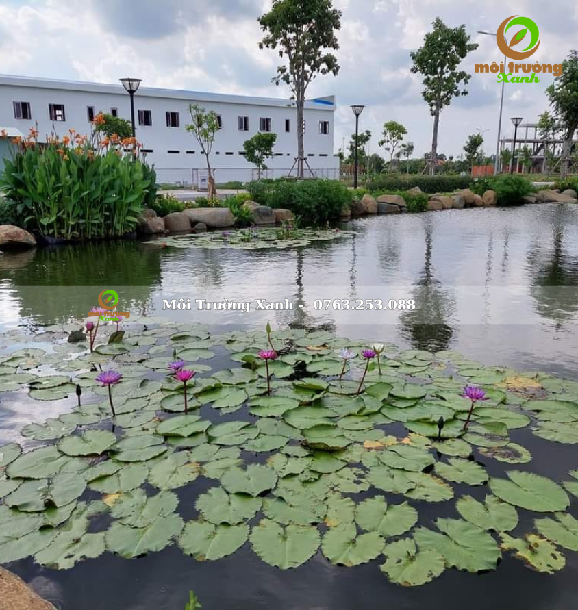 ទេសភាពសួនច្បារ, ទេសភាពសួនច្បារ ទេសភាពបៃតង ទេសភាពតុបតែង