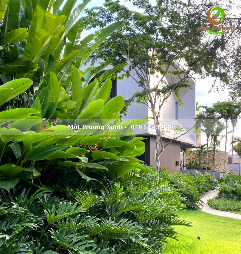 ទេសភាពសួនច្បារ, ទេសភាពសួនច្បារ ទេសភាពបៃតង ទេសភាពតុបតែង