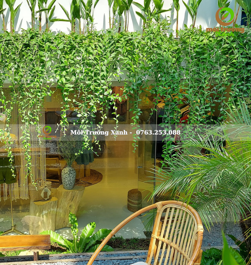 ទេសភាពសួនច្បារ, ទេសភាពសួនច្បារ ទេសភាពបៃតង ទេសភាពតុបតែង