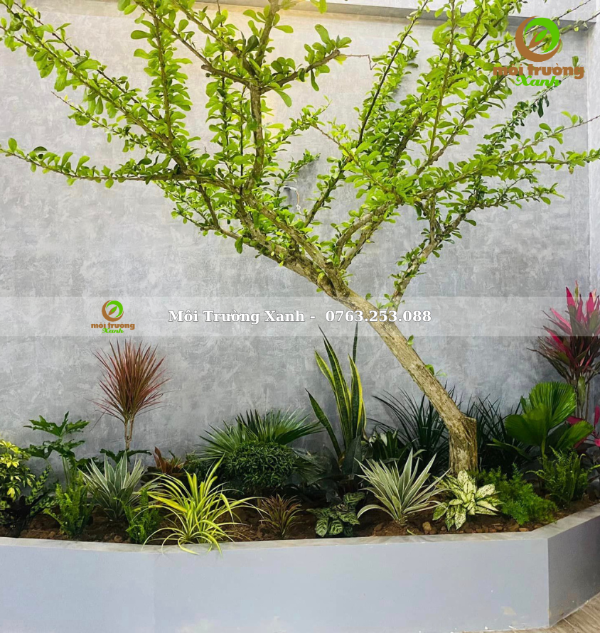 ទេសភាពសួនច្បារ, ទេសភាពសួនច្បារ ទេសភាពបៃតង ទេសភាពតុបតែង