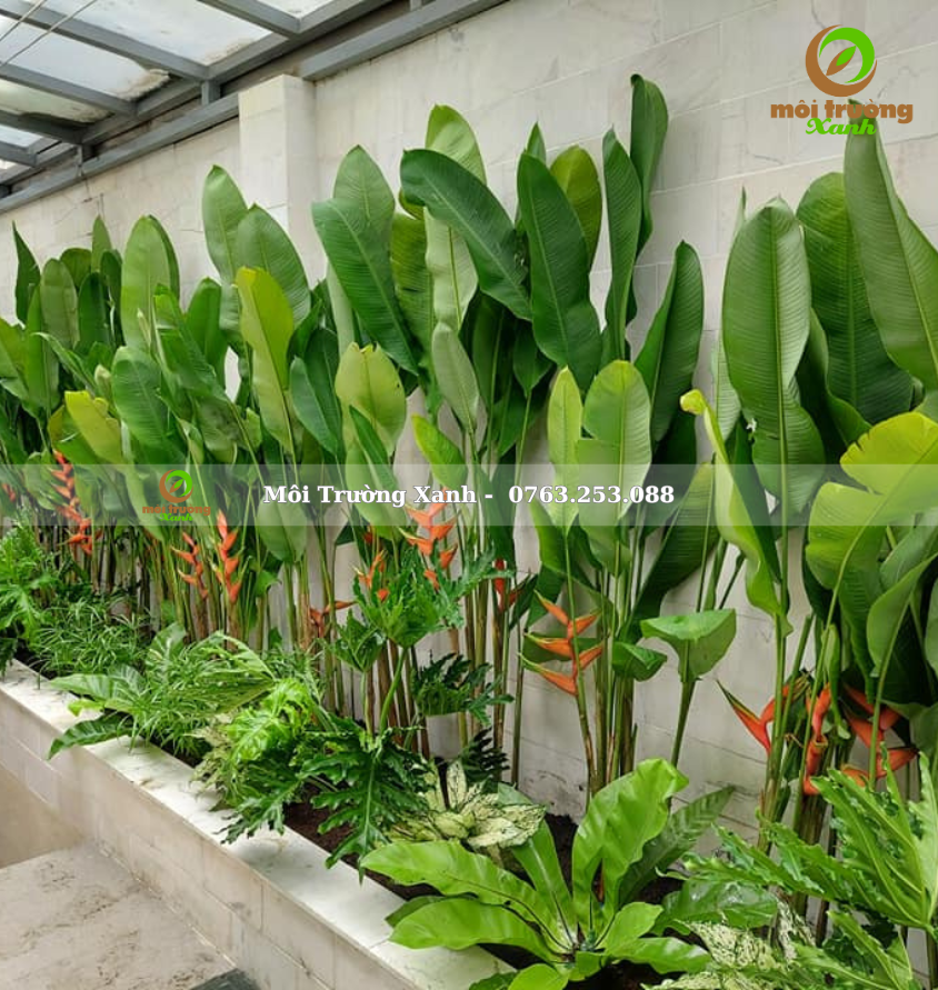 ទេសភាពសួនច្បារ, ទេសភាពសួនច្បារ ទេសភាពបៃតង ទេសភាពតុបតែង