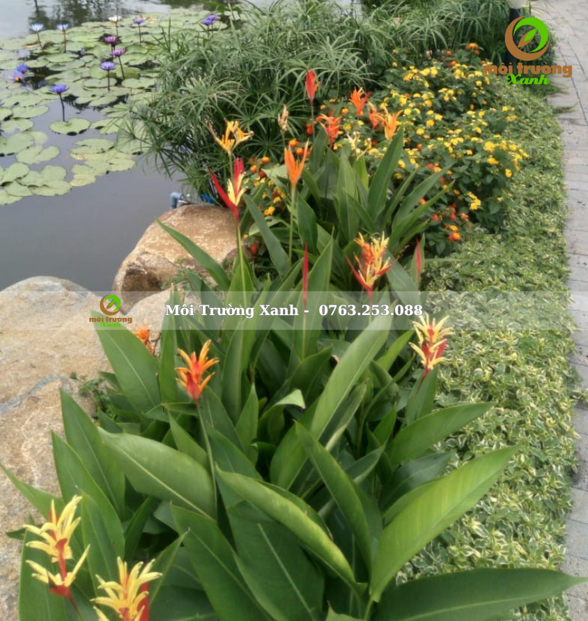 ទេសភាពសួនច្បារ, ទេសភាពសួនច្បារ ទេសភាពបៃតង ទេសភាពតុបតែង