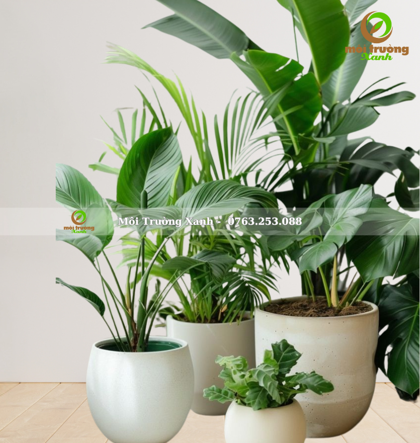 សំណុំផើងរុក្ខជាតិ