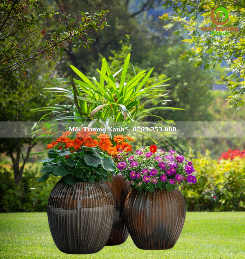 សំណុំផើងរុក្ខជាតិ