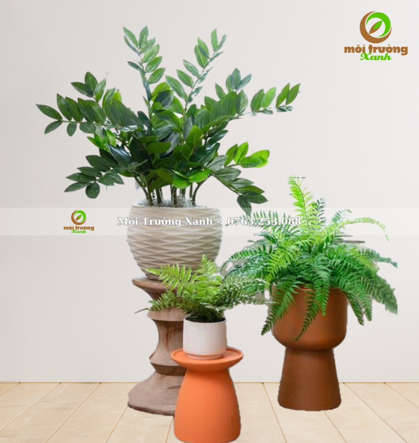 សំណុំផើងរុក្ខជាតិ