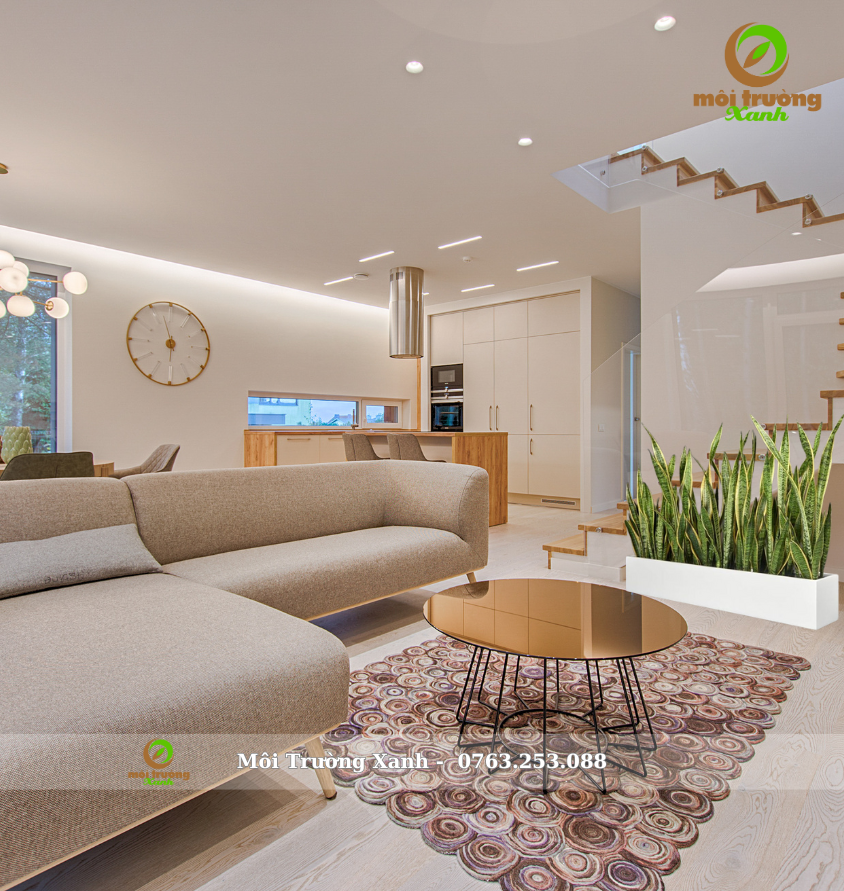 cây lưỡi hổ chậu chữ nhật - môi trường xanh