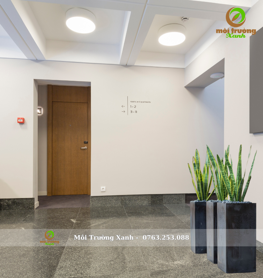 cây lưỡi hổ chậu vuông cao (1)