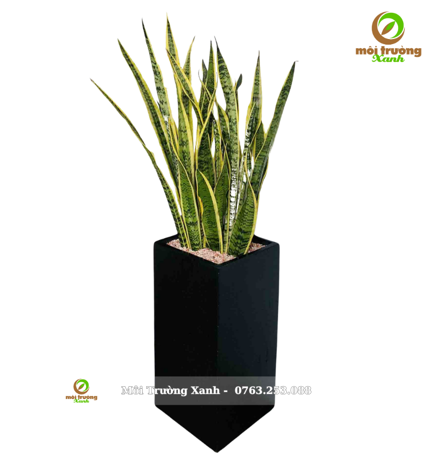 រោងចក្រពស់ - ផើងការ៉េខ្ពស់ - C1.04