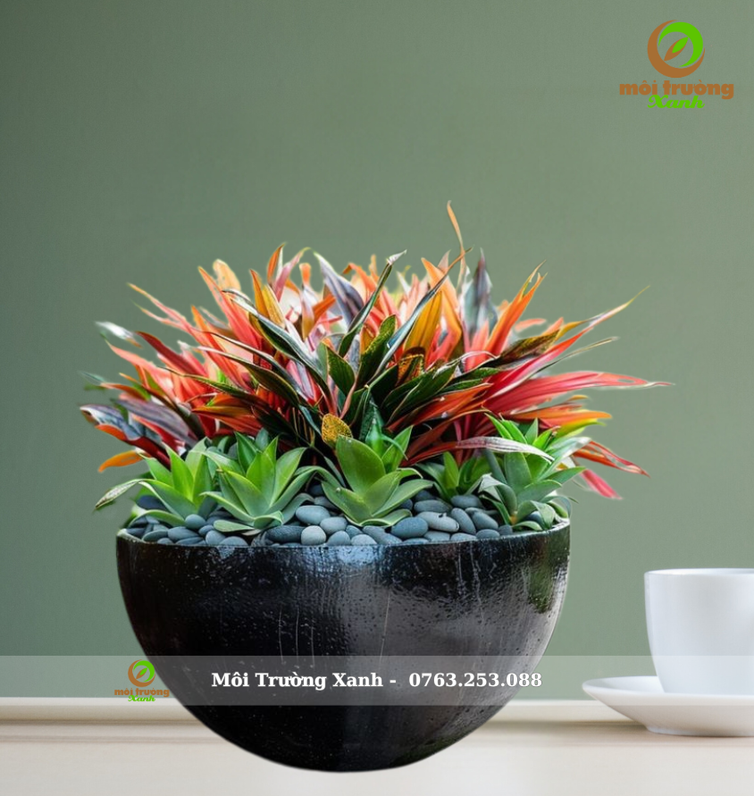 ផើងរុក្ខជាតិ