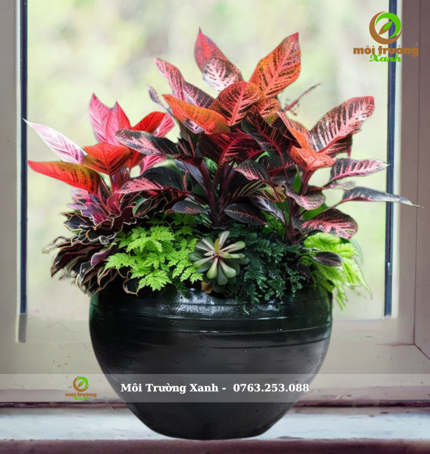 ផើងរុក្ខជាតិ