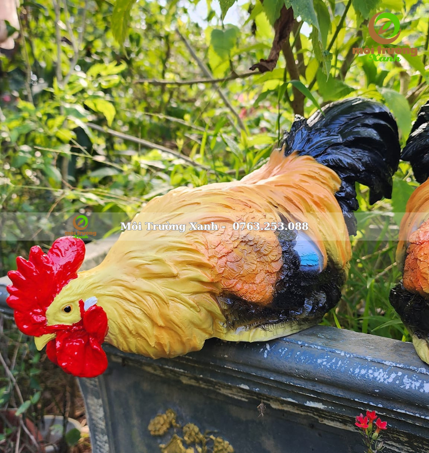 gà trống - môi trường xanh