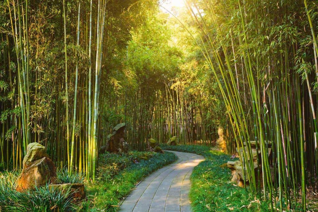 thiết kế sân vườn 0763253088