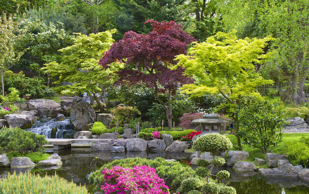 thiet ke san vuon cay xanh 0763253088