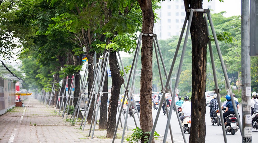 đóng trụ giữ cây mới trồng