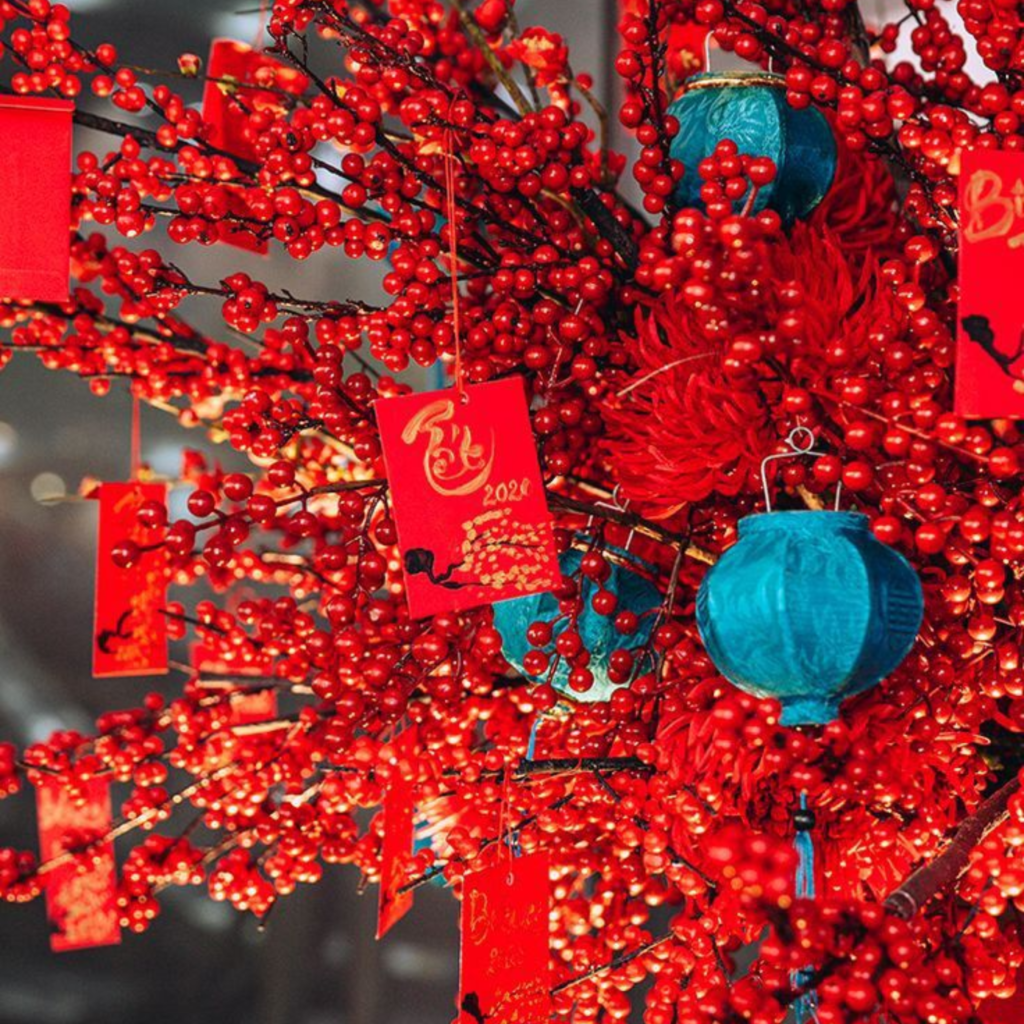 TRANG TRI PHONG THUY NGAY TET AT TY 2025 2