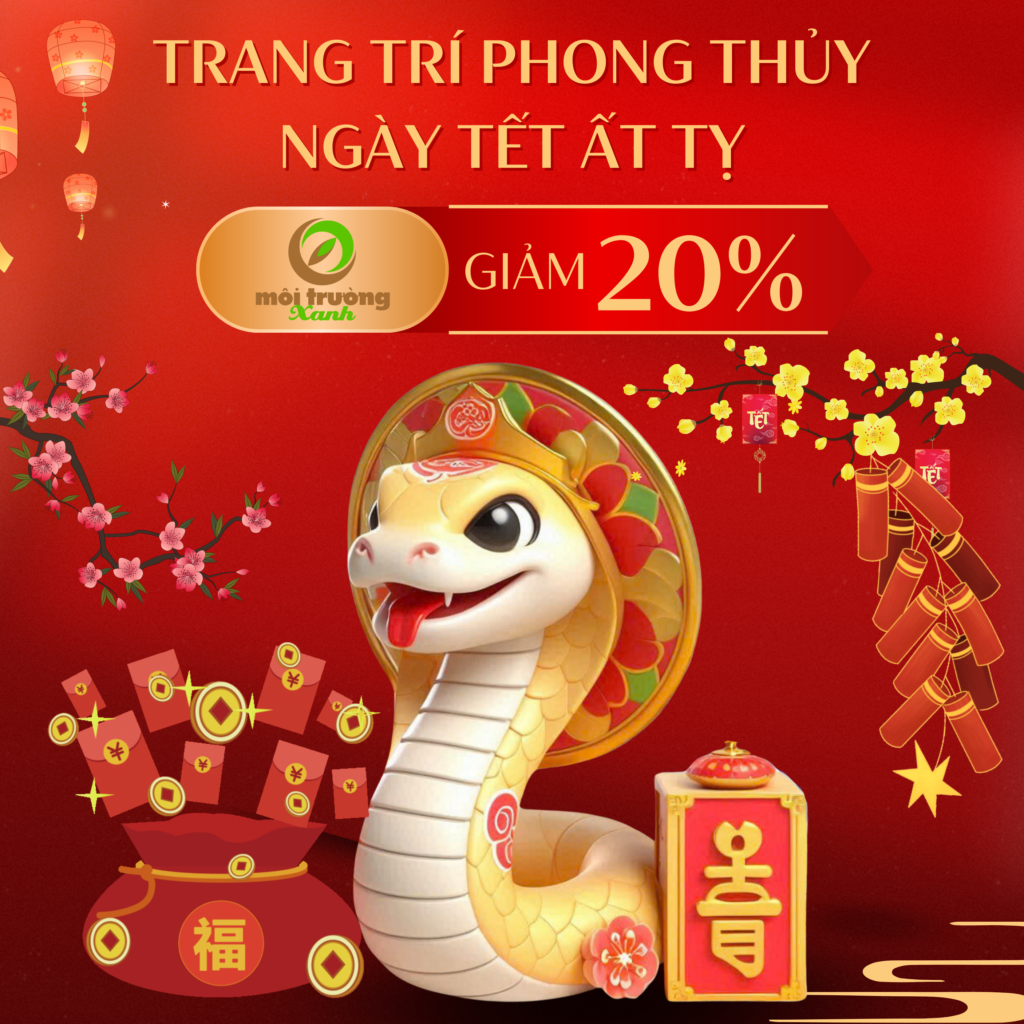TRANG TRÍ PHONG THỦY NGÀY TẾT ẤT TỴ 2025