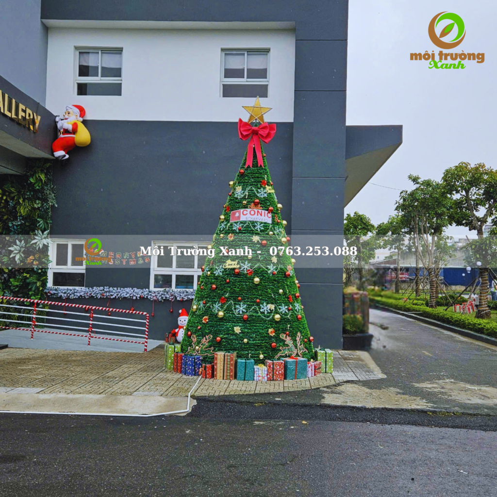 Cây Thông Noel