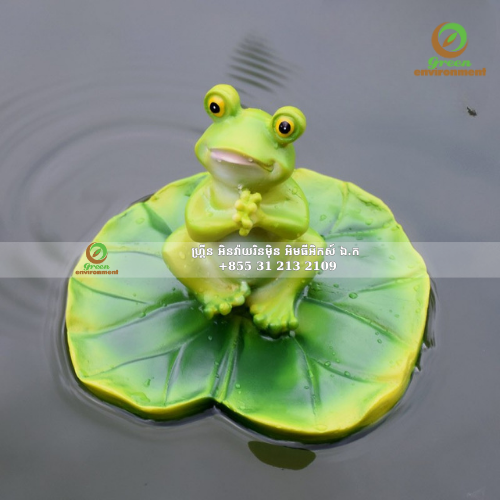 រូបចម្លាក់កង្កែបសម្រាប់ដីហូរ