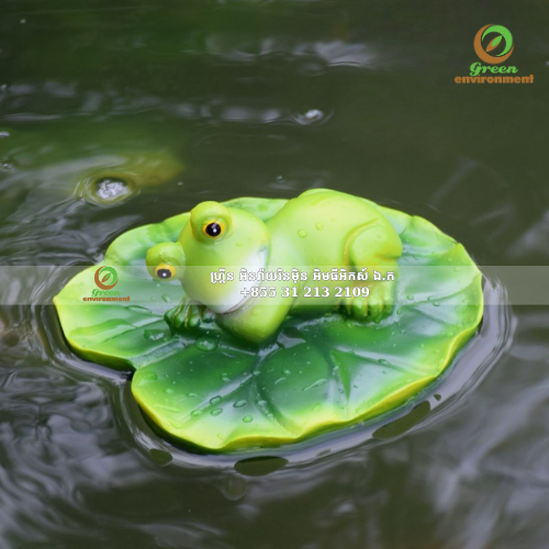 រូបចម្លាក់កង្កែបសម្រាប់ដីហូរ