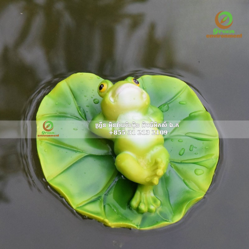 រូបចម្លាក់កង្កែបសម្រាប់ដីហូរ