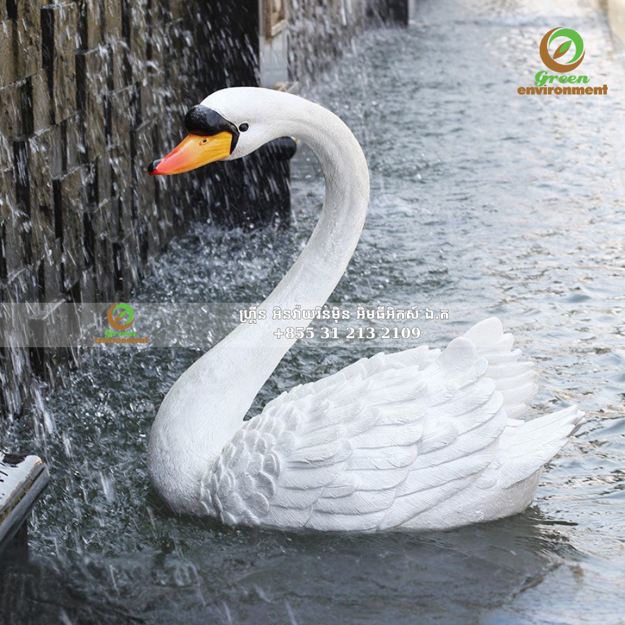 រូបសត្វអណ្ដើក